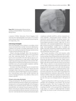 Diseases of the Gallbladder and Bile Ducts - part 10 ppsx