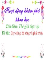 Giáo trình điện tử mầm non: Vòng tuần hoán của cây pps