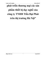 phát triển thương mại các sản phẩm thiết bị dạy nghề của công ty TNHH Tiến Đại Phát trên thị trường Hà Nội