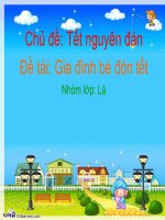 Giáo trình điện tử mầm non: Gia đình bé đón tết docx