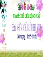 Giáo trình điện tử mầm non: Những cách bướm đẹp xinh pptx