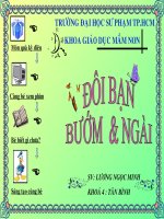 Giáo trình điện tử mầm non: Đôi bạn bướm và ngài doc
