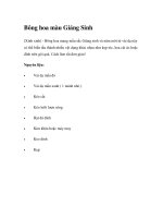 Bông hoa màu Giáng Sinh pps