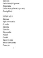 Dermatology A Manual of Differential Diagnosis - part 2 pps