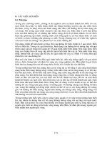 Giáo trình cơ sở kỹ thuật bờ biển - Chương 8 doc