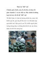 Thức ăn “đốt” mỡ potx