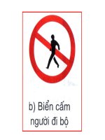 Giáo án điện tử tiểu học: Tìm hiểu an toàn giao thông doc