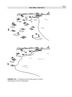 Getting started in bonds 2nd edition phần 4 pps