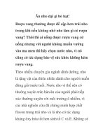 Ăn nho dại gì bỏ hạt! pdf