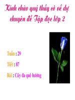 Giáo án điện tử tiểu học: Tập đọc lớp 2 giải nghĩa từ ppt