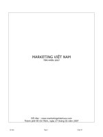 THỰC TRẠNG MARKETING VIỆT NAM - ĐỖ HÒA ppt