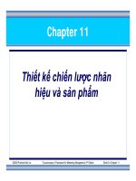Slide - Thiết kế chiến lược nhãn hiệu và sản phẩm ppsx