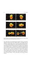 The Lecture Notes in Physics Part 3 ppsx