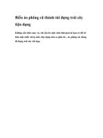Biến áo phông cũ thành túi đựng trái cây tiện dụng ppt