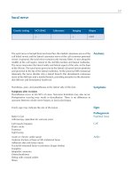 Atlas of Neuromuscular Diseases - part 6 docx