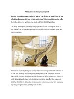 Những mẫu cầu thang đẹp lung linh pot