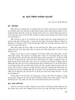 Kỹ thuật biển ( dịch bởi Đinh Văn Ưu ) - Tập 1 Nhập môn về công trình bờ - Phần 10 pps