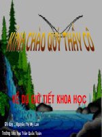 Giáo án điện tử tiểu học: Bảo vệ nguồn nước pdf