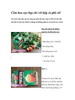 Cắm hoa cực đẹp chỉ với hộp cà phê cũ! pptx