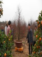 Giáo trình điện tử mầm non: các mùa trong năm ppt