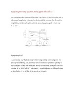 Aquaplaning hiện tượng nguy hiểm, thường gặp khi điều khiển xe pot