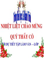 Giáo án điện tử tiểu học: Tập làm văn lớp 3 potx