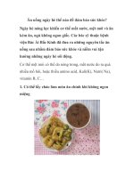 Ăn uống ngày hè thế nào để đảm bảo sức khỏe ppt