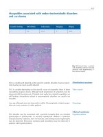 Atlas of Neuromuscular Diseases - part 10 docx