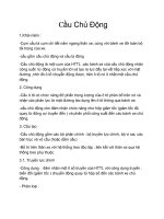Cầu Chủ Động docx