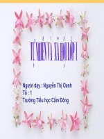 Giáo án điện tử tiểu học: Hoạt động và nghỉ ngơi ppt