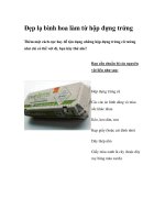 Đẹp lạ bình hoa làm từ hộp đựng trứng pptx