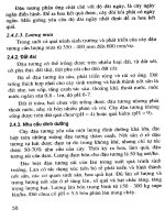 Kỹ thuật tưới tiêu nước cho 1 số cây công nghiệp part 4 pps