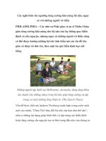 Các nghi thức tín ngưỡng tăng cường khả năng bộ não pot