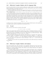 principles of financial economics leroy and werne phần 7 pptx