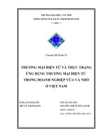 THƯƠNG MẠI ĐIỆN TỬ VÀ THỰC TRẠNG ỨNG DỤNG THƯƠNG MẠI ĐIỆN TỬ- 2011 ppsx