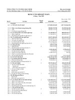 TỔNG CÔNG TY CỔ PHẦN BẢO MINH - BÁO CÁO TÀI CHÍNH THÁNG 6 - 2009 - BẢNG CÂN ĐỐI KẾ TOÁN ppsx