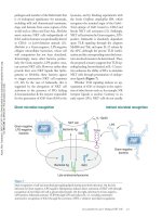 The Biology of NKT Cells Albert Bendelac - part 3 pptx