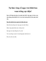 Tự làm vòng cổ ngọc trai đính hoa voan trắng cực điệu! ppsx