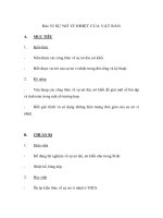 Bài 52 SỰ NỞ VÌ NHIỆT CỦA VẬT RẮN ppsx