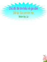 Giáo trình điện tử mầm non: Dấu chân của ai pdf