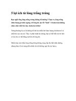 5 lợi ích từ lòng trắng trứng ppt