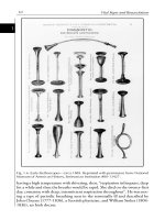 Vital Signs and Resuscitation - part 2 docx