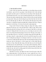 vi phạm pháp luật  một số vấn đề lý luận và thực tiễn ở việt nam