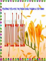 Giáo án điện tử tiểu học: Gà trống nuôi con pps