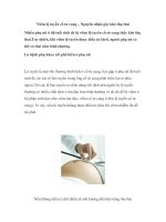 Viêm lộ tuyến cổ tử cung – Nguyên nhân gây pot