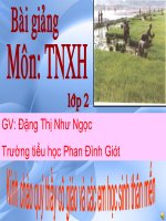 Giáo án điện tử tiểu học: Cuộc sống xung qunah doc