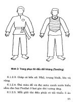 Luật Pencak Silat part 3 pot