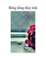 Bông hồng thủy tinh doc