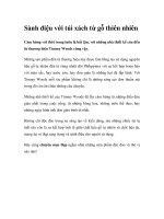 Sành điệu với túi xách từ gỗ thiên nhiên ppsx