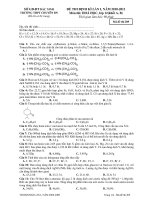 ĐỀ THI THỬ ĐẠI HỌC LẦN I, NĂM 2010-2011 Môn thi: HOÁ HỌC, khối A, B - Mã đề thi 209 pot